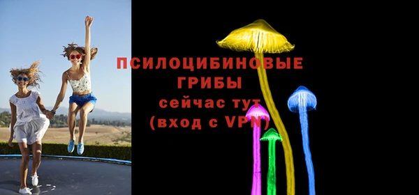 а пвп мука Зеленодольск