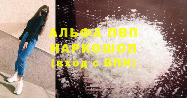 прущий лед Инсар