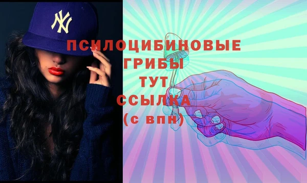 а пвп мука Зеленодольск