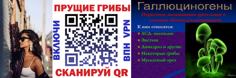 Галлюциногенные грибы мухоморы  MEGA ссылка  Северо-Курильск 
